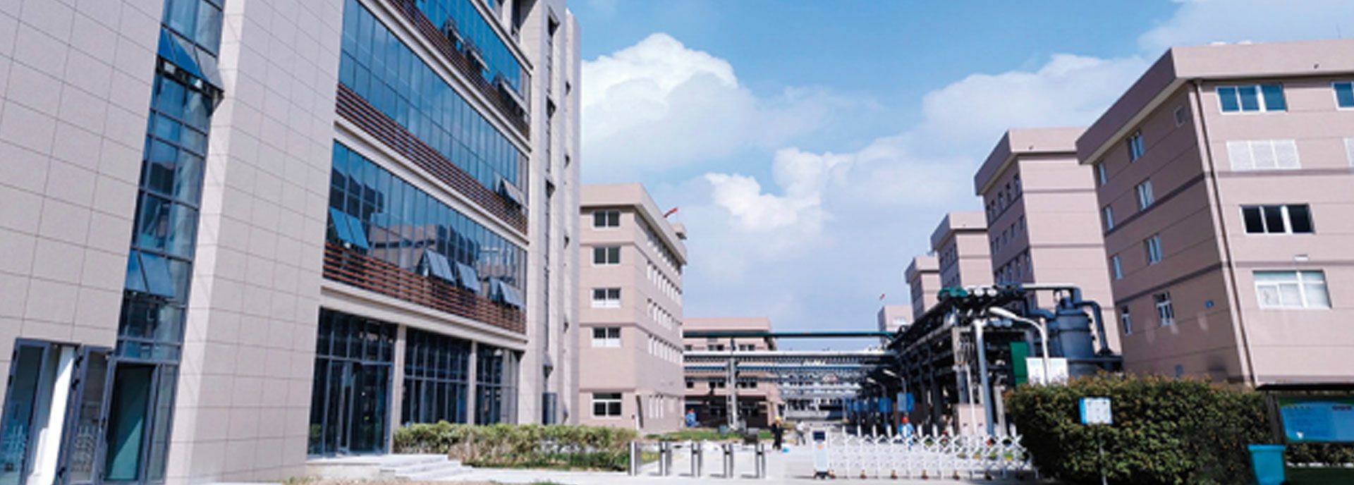 青岛圣安线上医学咨询有限公司